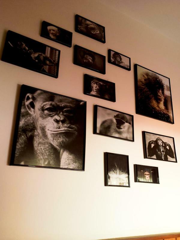 The Mellow Monkey Hostel Zadar Eksteriør bilde